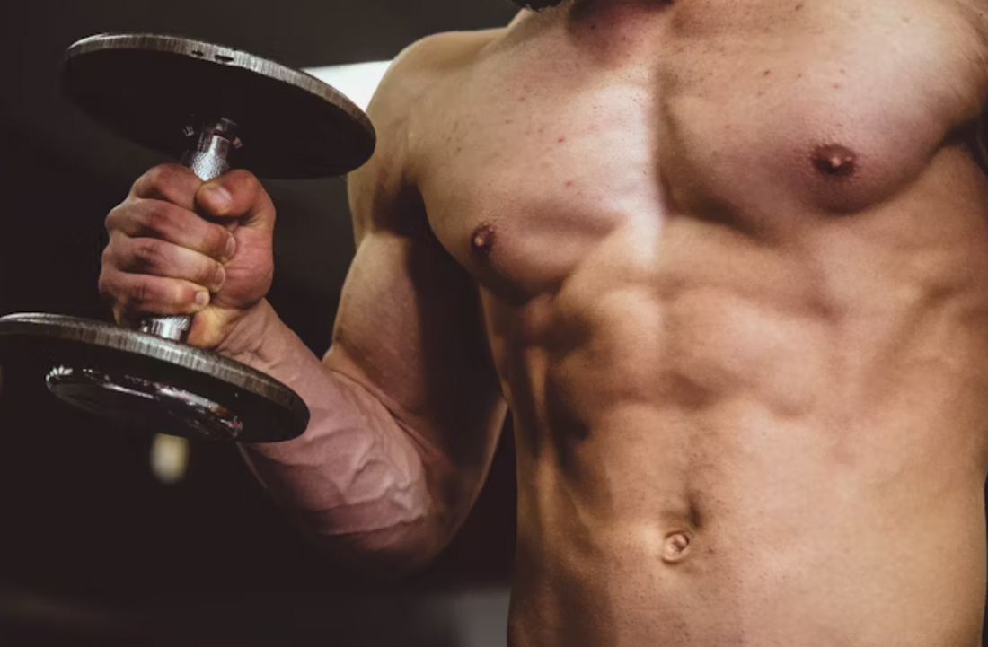 How To Build Muscle Fast?