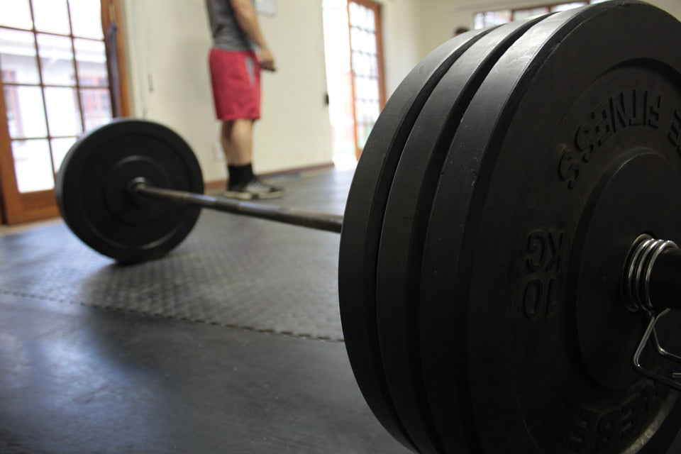 barbell buying guide